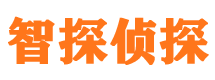 广河调查公司